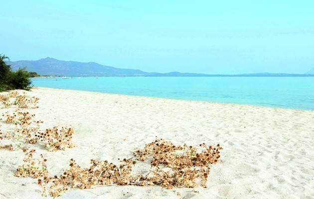 Li Suari Club Village Li Suari Club Village