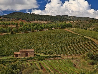 castelbuono03.jpg